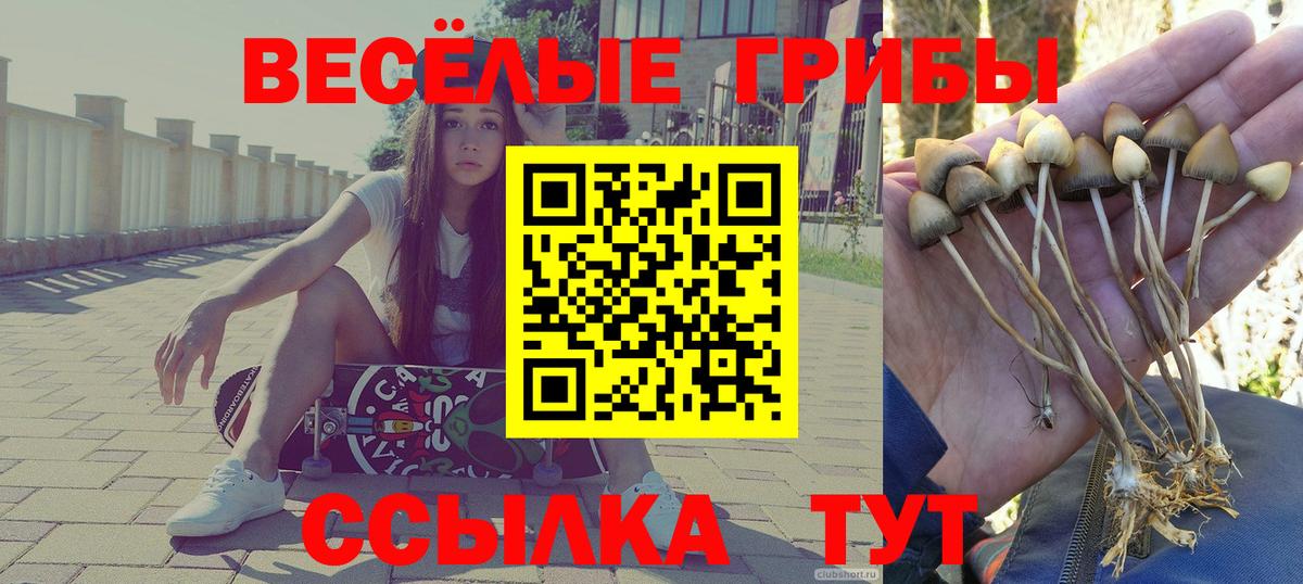 Губкинский  Псилоцибиновые грибы ЛСД  Вход с VPN 