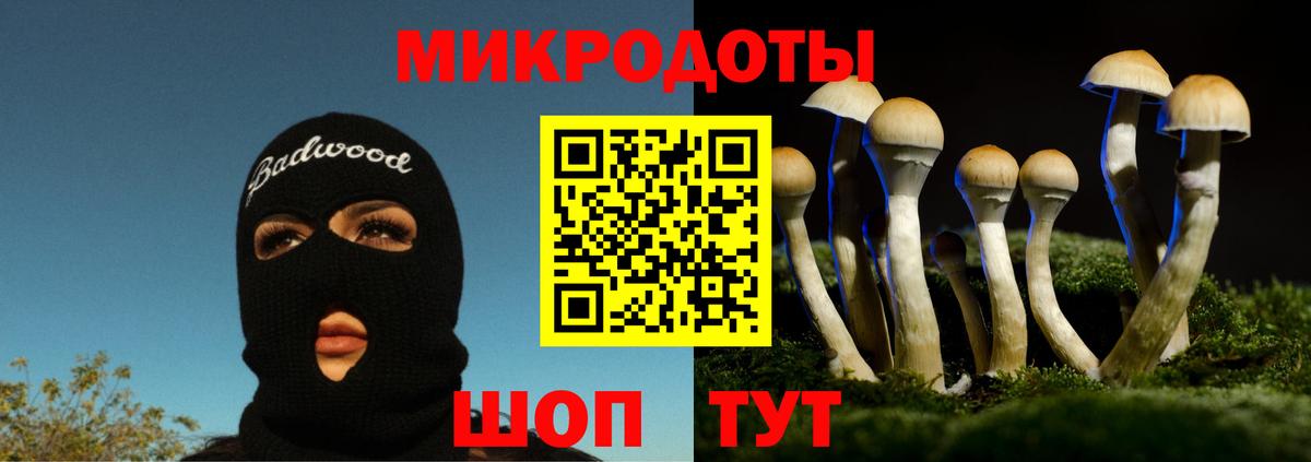 Галлюциногенные грибы Psilocybine cubensis Губкинский